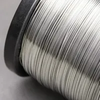 Нихромовая проволока 0.1 мм Х20Н80 ГОСТ 12766.1-90 купить в Мурманске